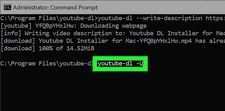 without-premium-download-youtube-videos-1.15